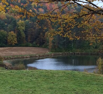 58 Thompson Rd, Walpole, NH 03608 - photo 3