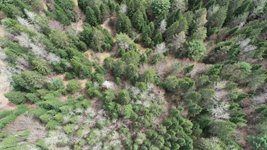 DJI_0143