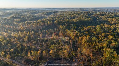 TBD Rodney Rd, Port Gibson, MS 39150 - photo 7