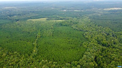 6891 Grand Brooks Rd, Spotsylvania, VA 22551 - photo 6