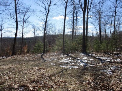 5 Isaac Frye Hwy, Wilton, NH 03086 - photo 4