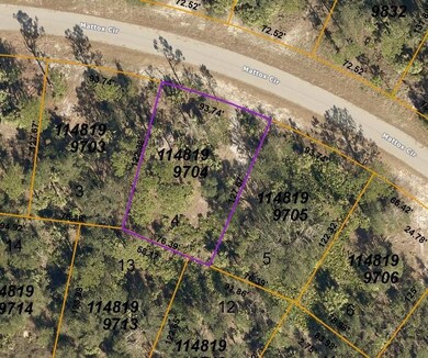 County map of both lots for sale