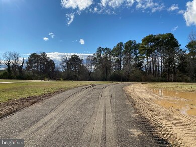47308 Snow Hill Manor Ln, Lexington Park, MD 20653 - photo 2