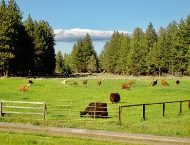 67500 Three Creeks Rd, Sisters, OR 97759 - photo 7