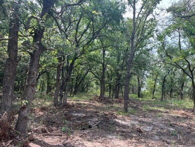 TBD Cr 295 Lot 3, Hico, TX 76457 - photo 3