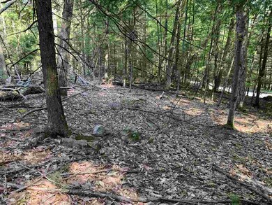 Lot 1 TBD Cherry Hill Rd, Stone Ridge, NY 12484 - photo 6