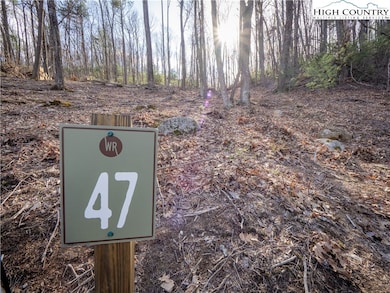 Lot 47 Wildcat Wilderness Pkwy, Deep Gap, NC 28618 - photo 3