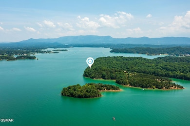 Parcel 020 Douglas Lake, Dandridge, TN 37725 - photo 7