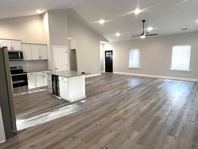 101 Brien kitchen now