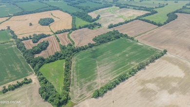 -- Holcomb Rd, Ripley, TN 38063 - photo 5