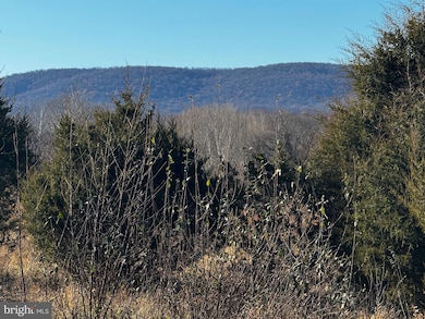 20 Hallows Way, Gerrardstown, WV 25420 - photo 3