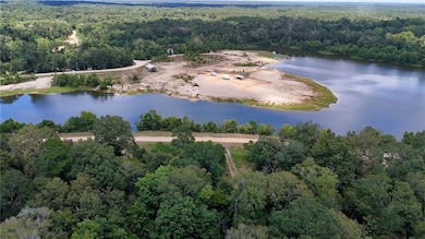 13841 Gage Ln, Franklinton, LA 70438 - photo 6