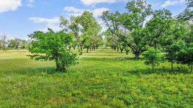 179 County Road 348, Gorman, TX 76454 - photo 4