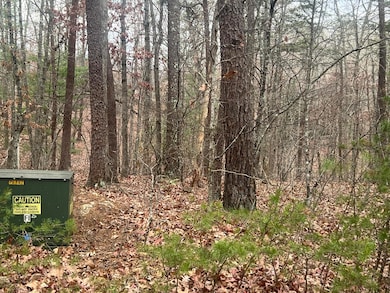 2851 Lindsay Dr, Elliston, VA 24087 - photo 2