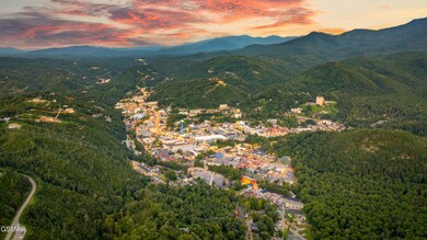 1839 Zurich Ct, Gatlinburg, TN 37738 - photo 5