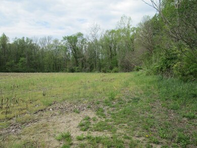 V/L Holden Rd, Glendora, MI 49107 - photo 4