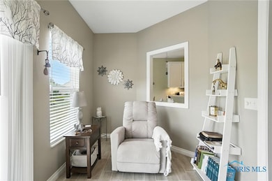 7319 Clipper Ct, Maumee, OH 43537 - photo 7