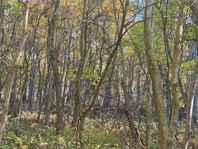 0 Braughler Rd unit 25589570, Grant Township, PA 15771 - photo 2