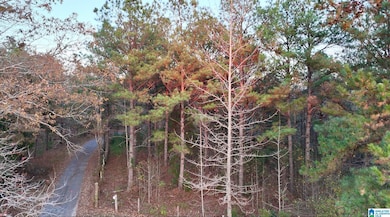 100 Presbyterian Church Rd, West Blocton, AL 35184 - photo 2