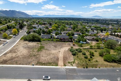 Boundary lines have been noted on the previous photo