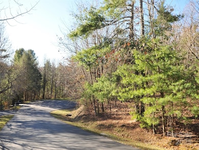 000 Didrikson Way unit 244, Hendersonville, NC 28739 - photo 6