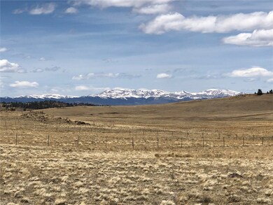 0 Lenape Trail unit S1035343, Hartsel, CO 80449 - photo 3