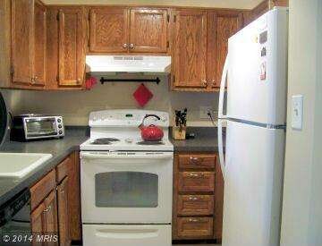 9313 Grazing Terrace, Montgomery Village, MD 20886 - photo 5