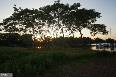 210 Harbor Ln, Queenstown, MD 21658 - photo 5