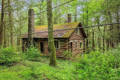 205 Pine View
