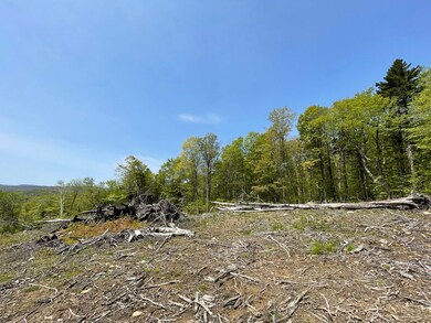 0 White Rd unit 4964384, Readsboro, VT 05350 - photo 6