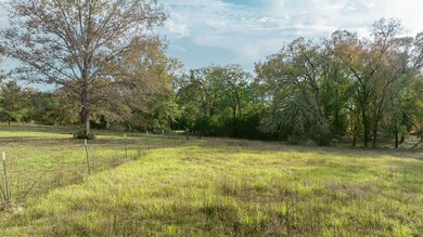 IMG_1519