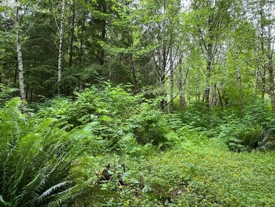 Buildable Area