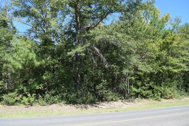 02 Dorcheat Rd, Minden, LA 71055 - photo 6