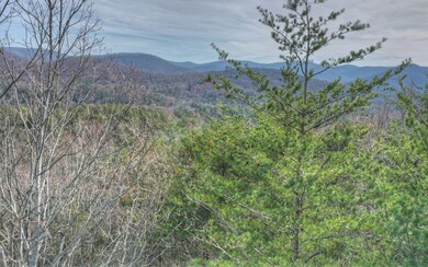 Additional View