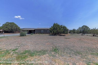 1437 Little Creek Rd - Alto NM-2