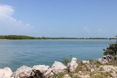 IMG_1523