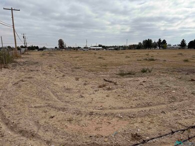 2003 Standpipe Rd, Carlsbad, NM 88220 - photo 5