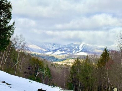 982 Brook Rd unit 4, Stowe, VT 05672 - photo 5