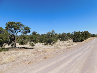 15 River Ln, Quemado, NM 87829 - photo 2