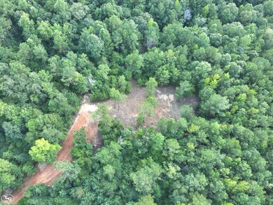 0 Martin Luther King Hwy, Eutaw, AL 35462 - photo 5