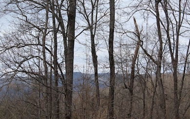 Additional View