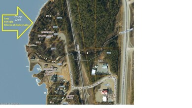 Aerial of Subdivision