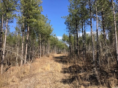 0 Higginbotham Rd unit 22020696, Little Rock, AR 72126 - photo 7