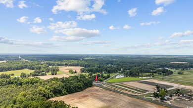 Aerial view of sparsely populated area featuring a forest