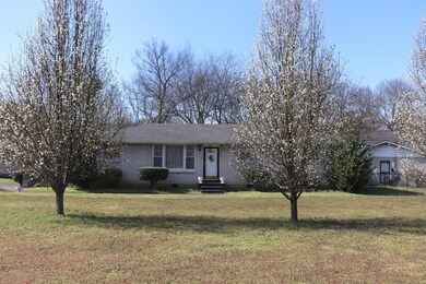 Trees are in full bloom just in time for Spring!