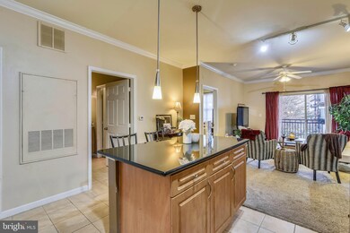 Bryson At Woodland Park unit 315, Herndon, VA 20171 - photo 7