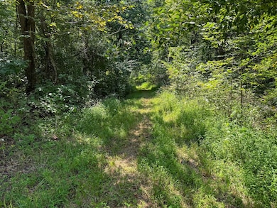 0 Crooked Tree Rd, Dexter City, OH 45727 - photo 5