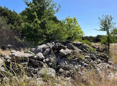 250 Rolling Oaks Dr unit Lot 1, Driftwood, TX 78619 - photo 3