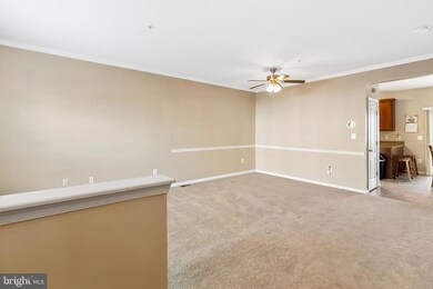 46435 Munley Ln, Lexington Park, MD 20653 - photo 4