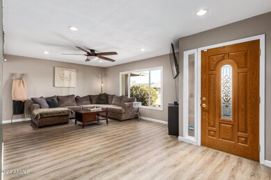 Bright Living Room